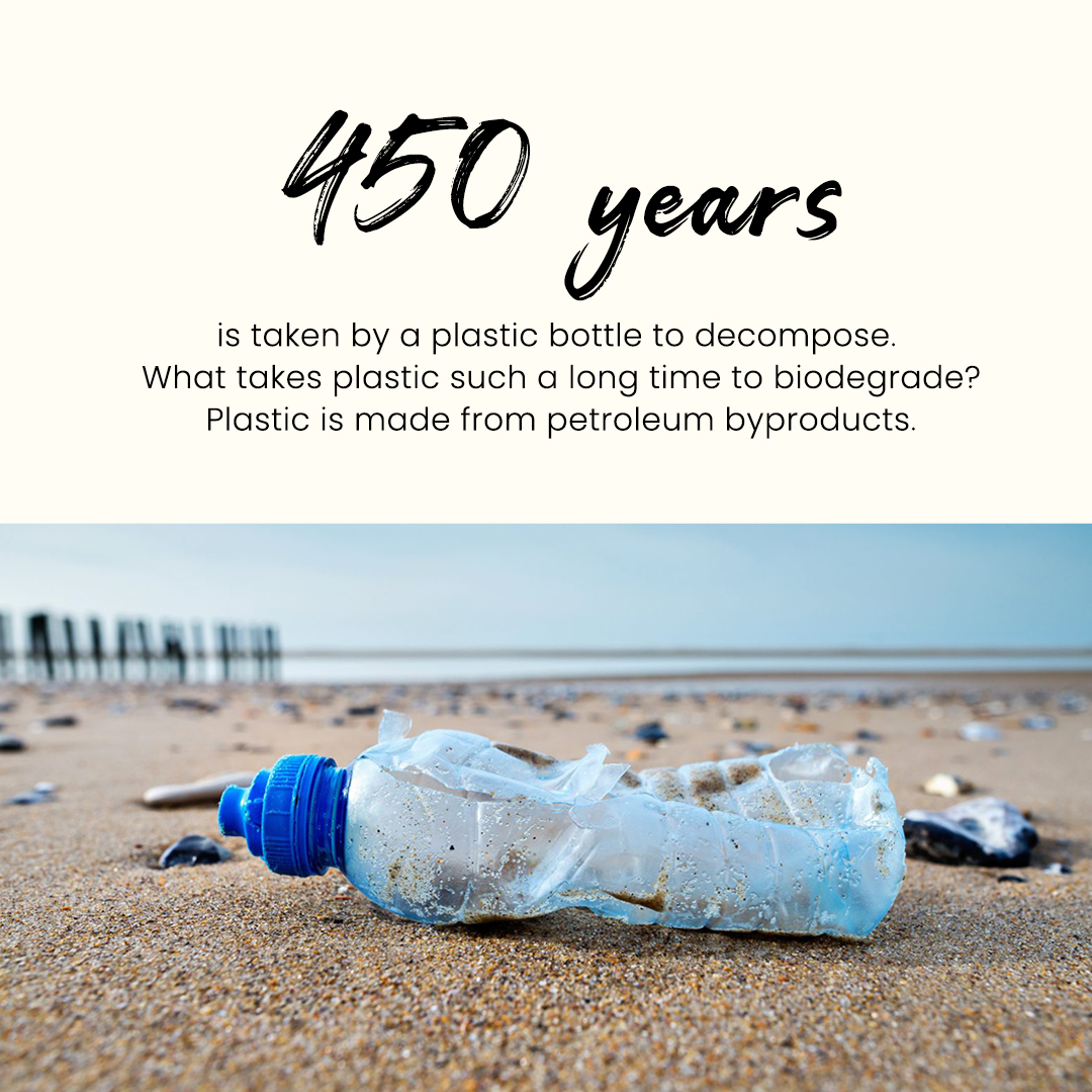 Health Risks free eco-friendly water bottles - Eco & Faye